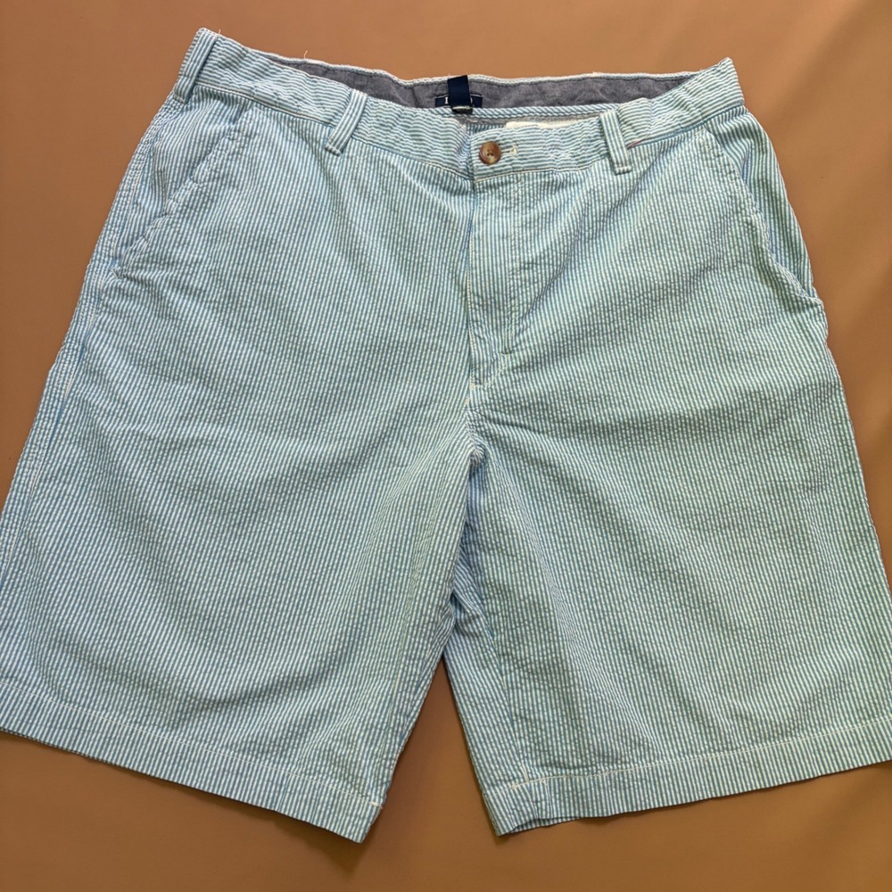 IZOD Mens Blue White Seersucker Striped Cotton Shorts‎ Size 38 Flat Front Casual